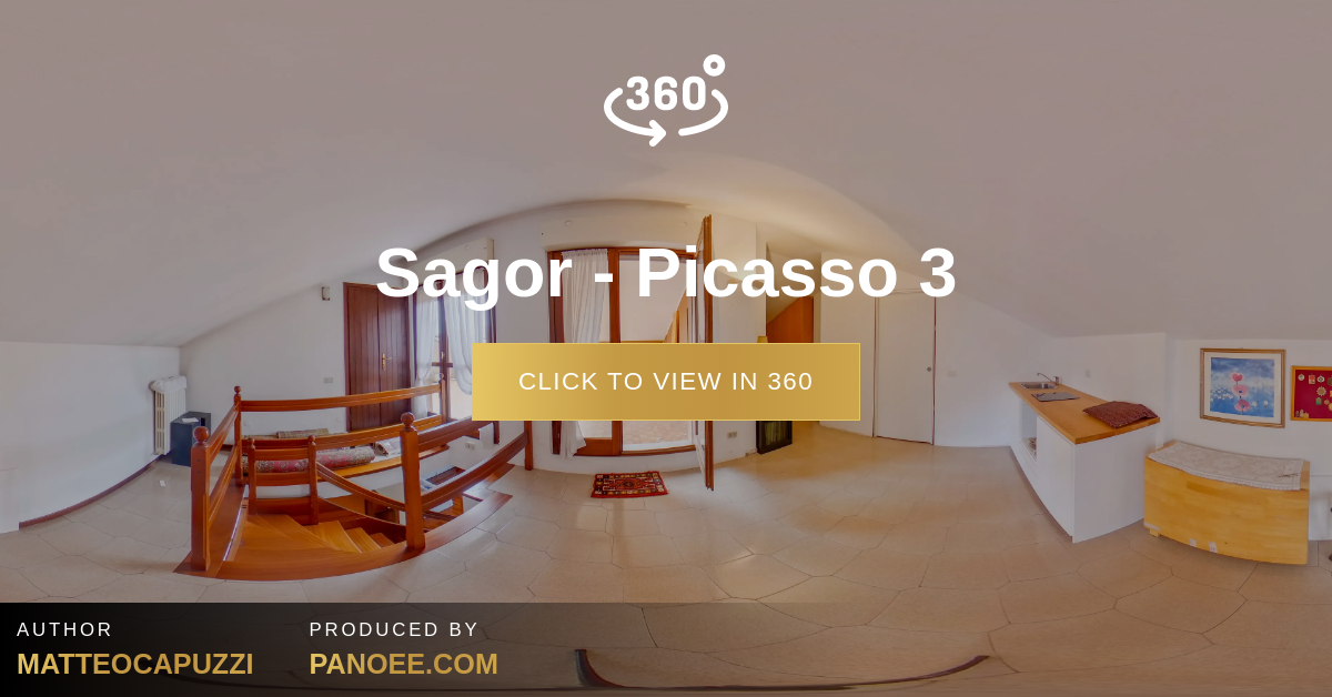 Sagor - Picasso 3