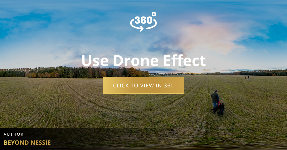 Use Drone Effect