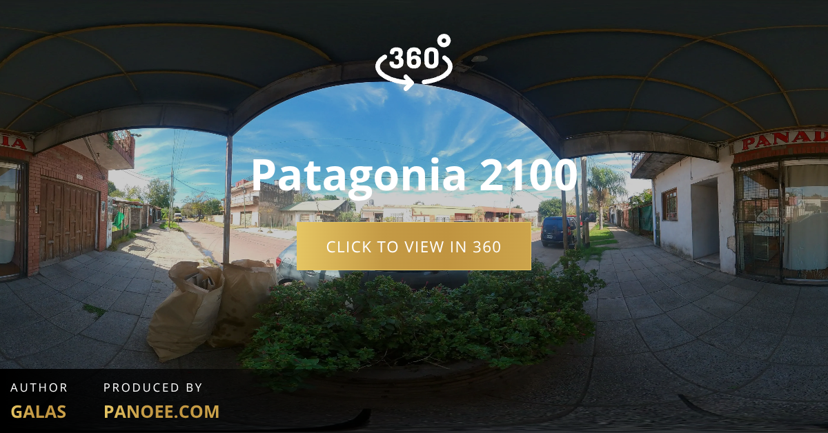 Patagonia 2100