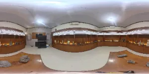 Virtual Tour
